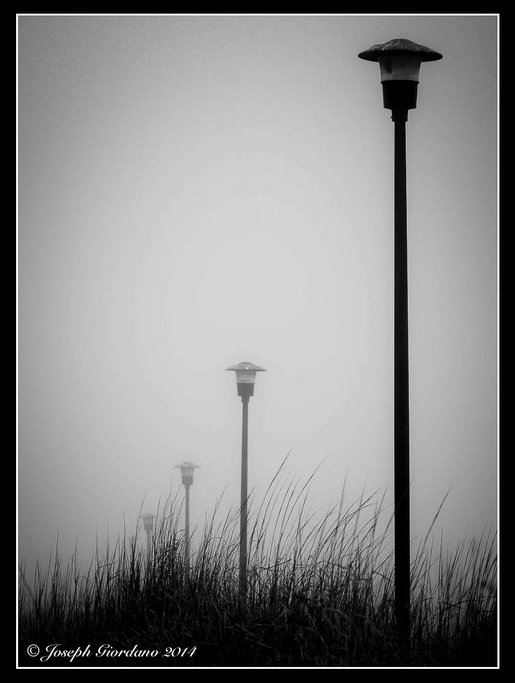 Misty-Border (1 of 1)