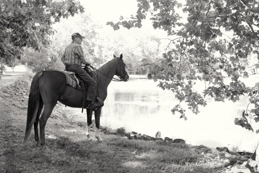 The Arabian and his Rider
