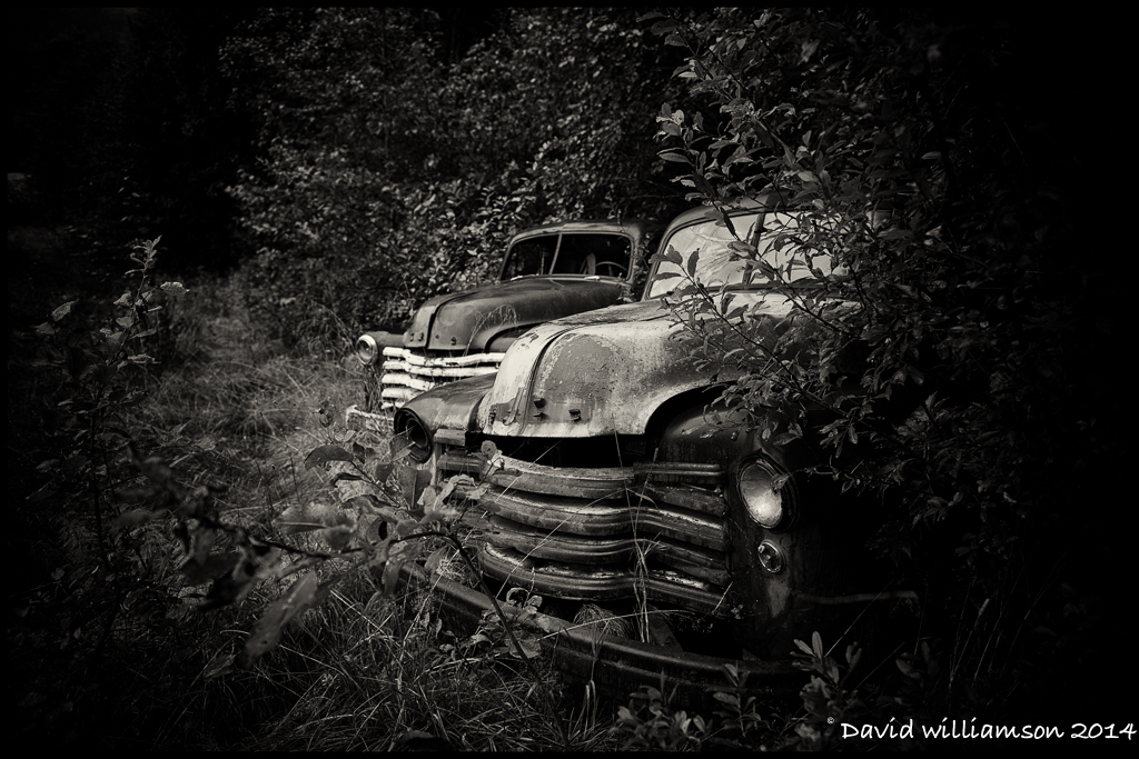 20140907-untitled shoot-16-Edit-Edit