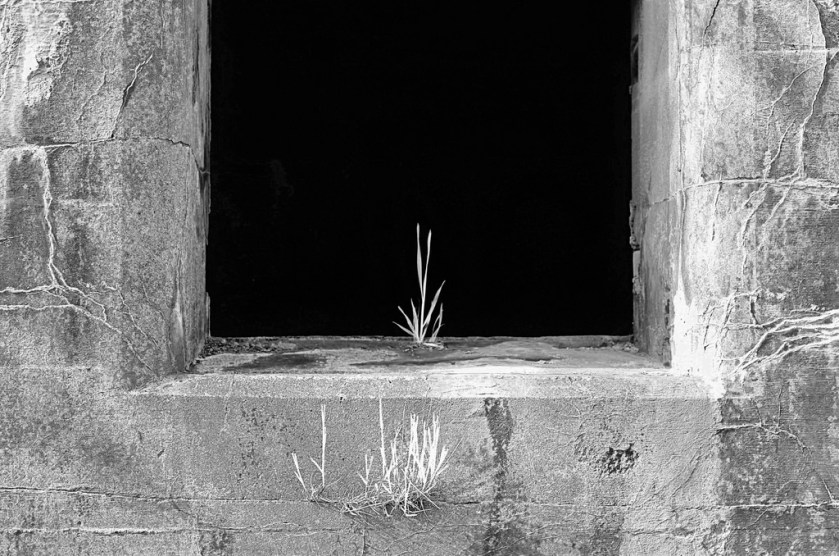 15291904999_7ca03913f5_b