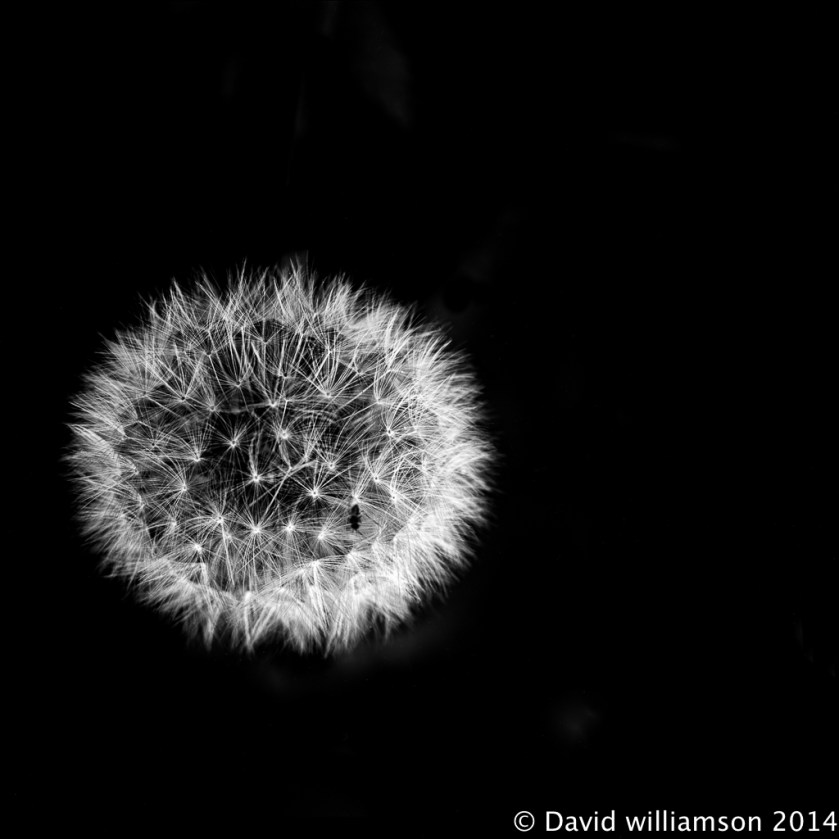 20140527-untitled shoot