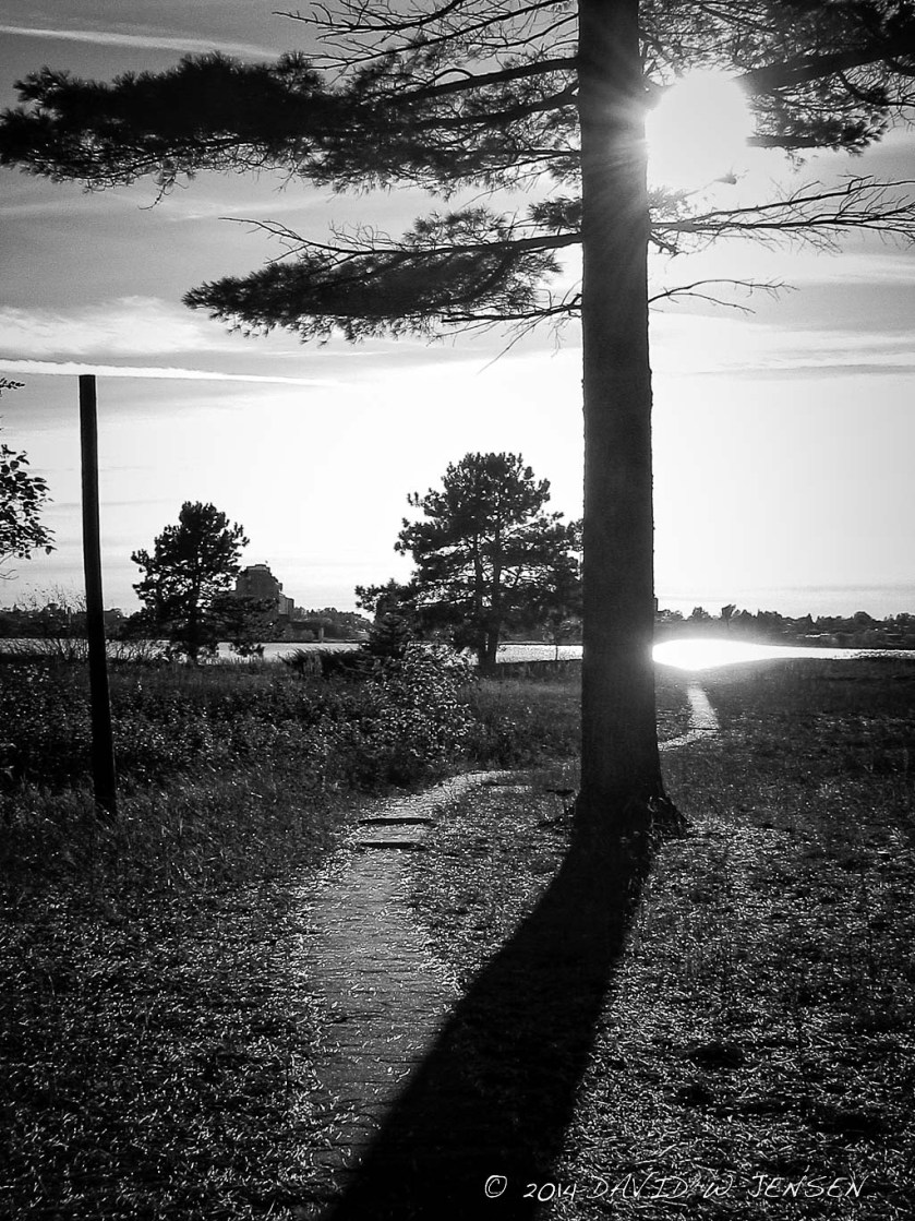 DavidJensen (1 of 1)