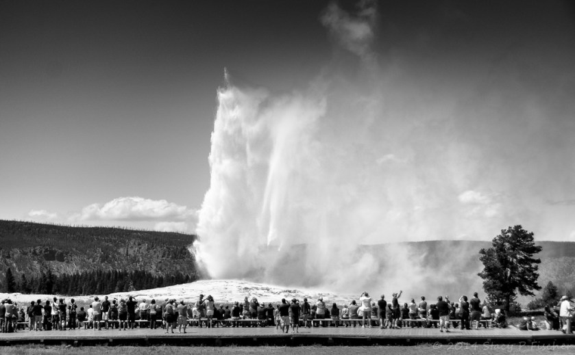 Old Faithful in mid-eruption