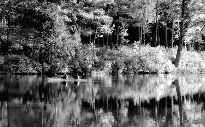 15742189506_617d5e69c5_b