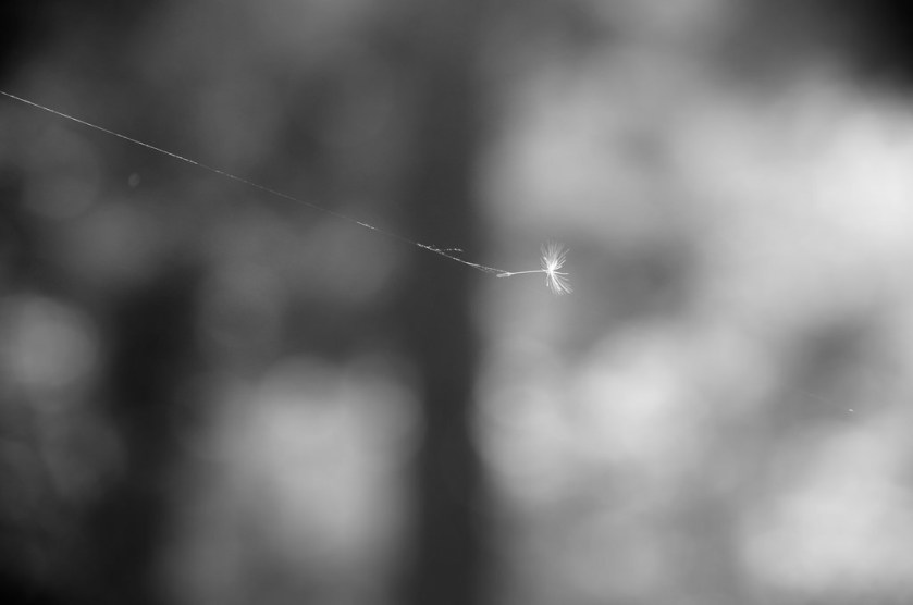 15848295618_14c312aa15_b