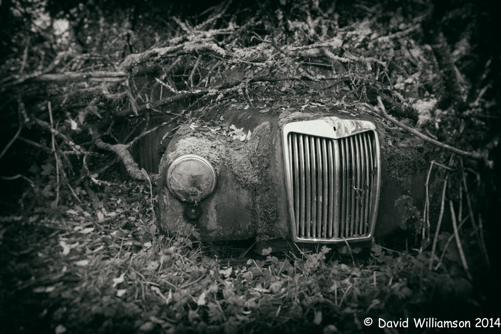 20131012-untitled shoot-Edit