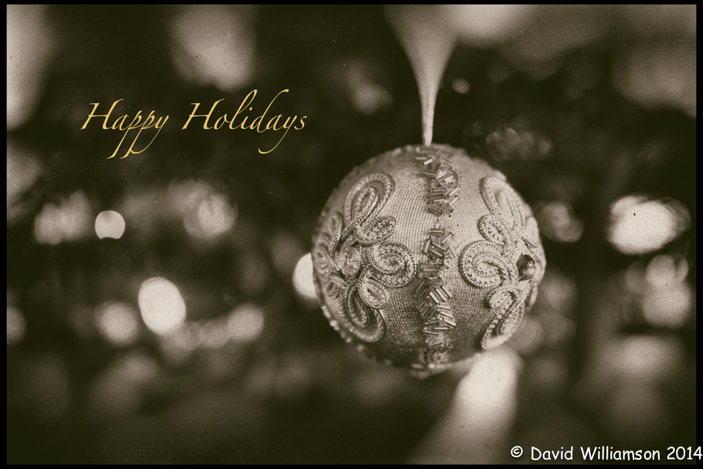 20131224-untitled shoot