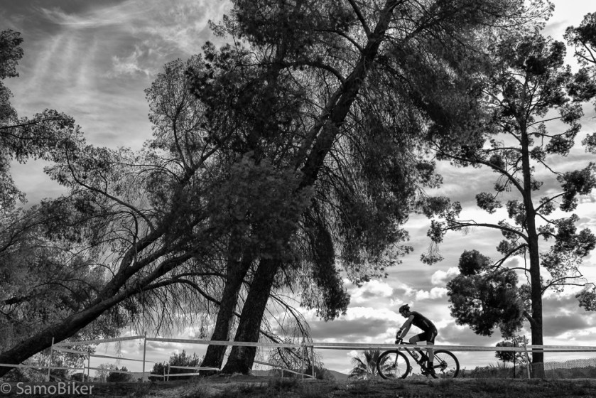 20141214-0N8A091420141214-Edit