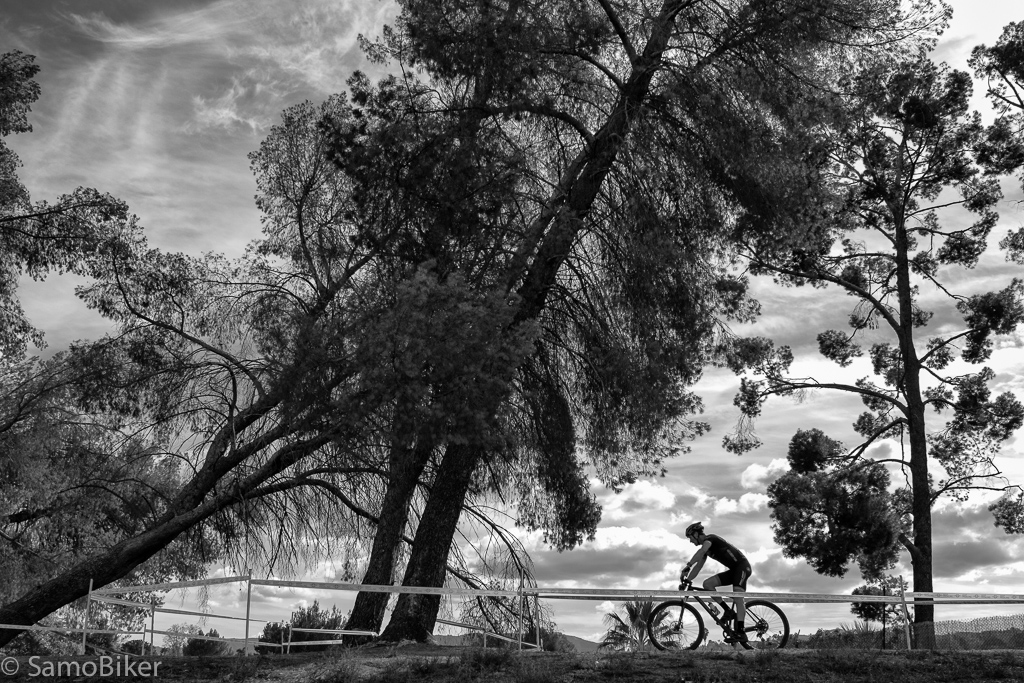 20141214-0N8A091420141214-Edit