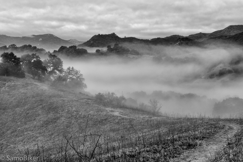 20141219-0N8A134920141220-Edit