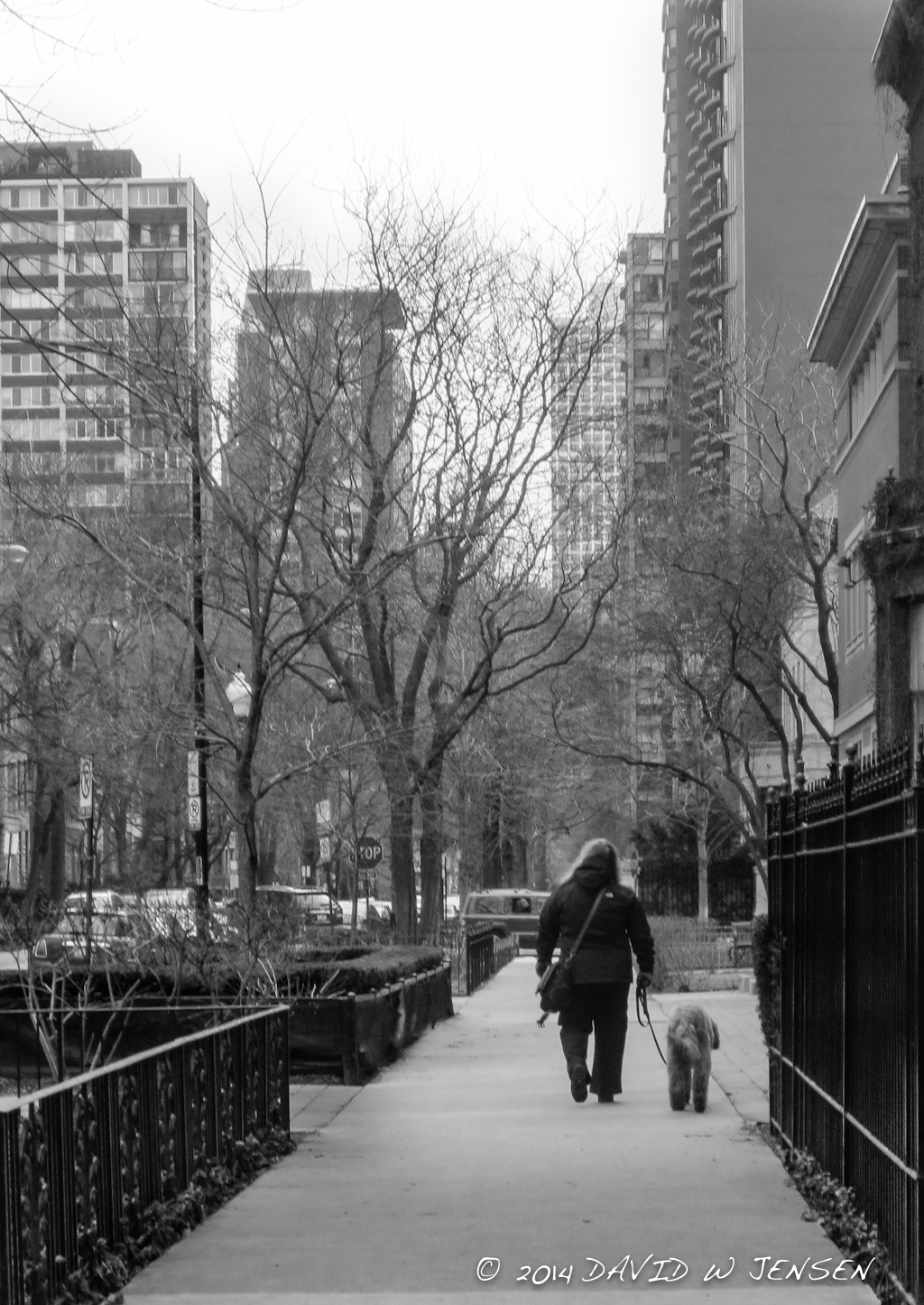 Walking the Dog