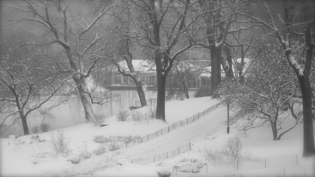 Snow in Central Park