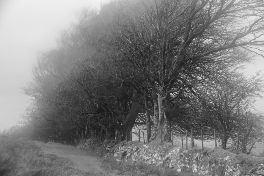 Dartmoor Wind