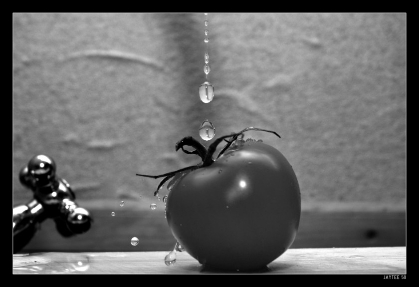 Tomato_jaytee59_15bw