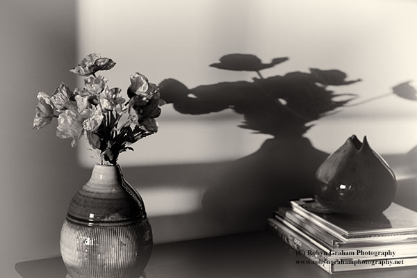 Shadows at Grandma's