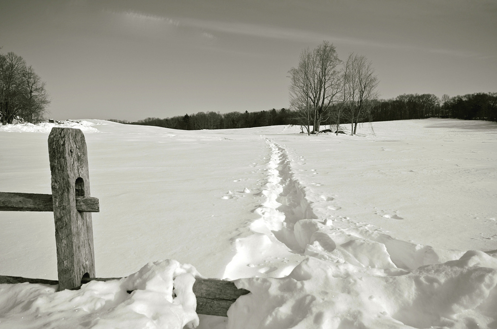 15872848383_69719bf8e0_b