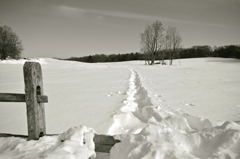 15872848383_69719bf8e0_b