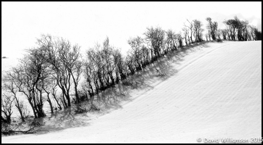 20101207-untitled shoot