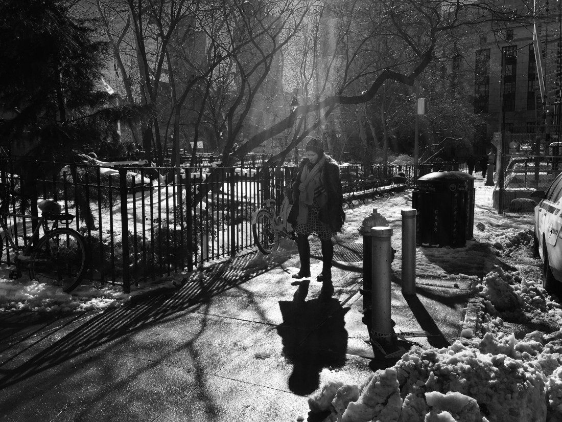 Sunshine Snow Shadow