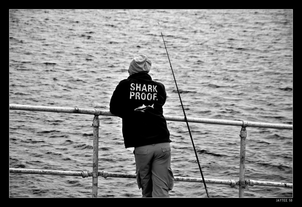 sharkproof_jaytee59_15