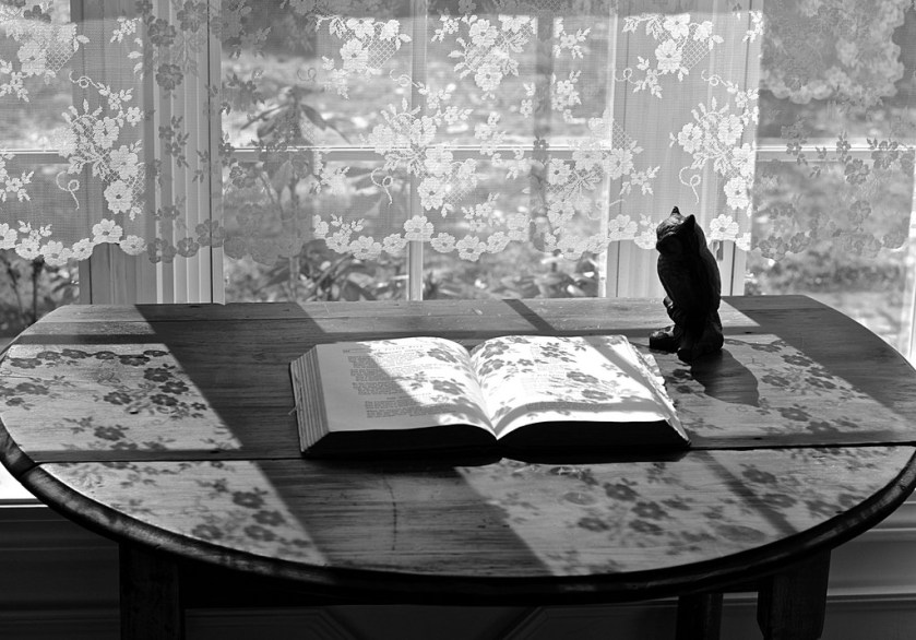 17201562041_226c59de74_b