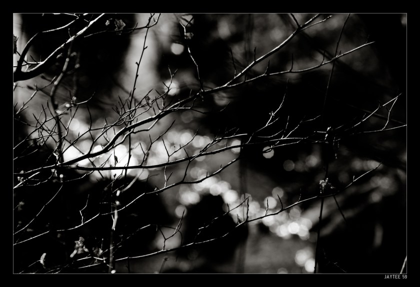 creek-bw_jaytee59_161