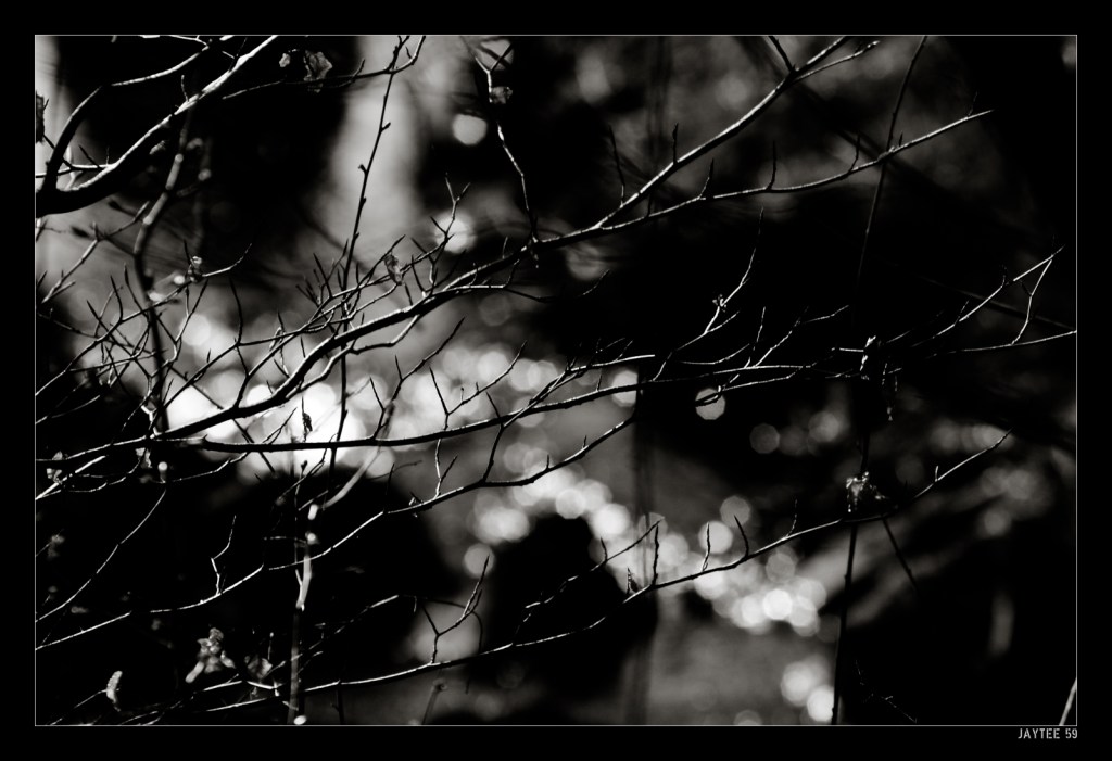creek-bw_jaytee59_161