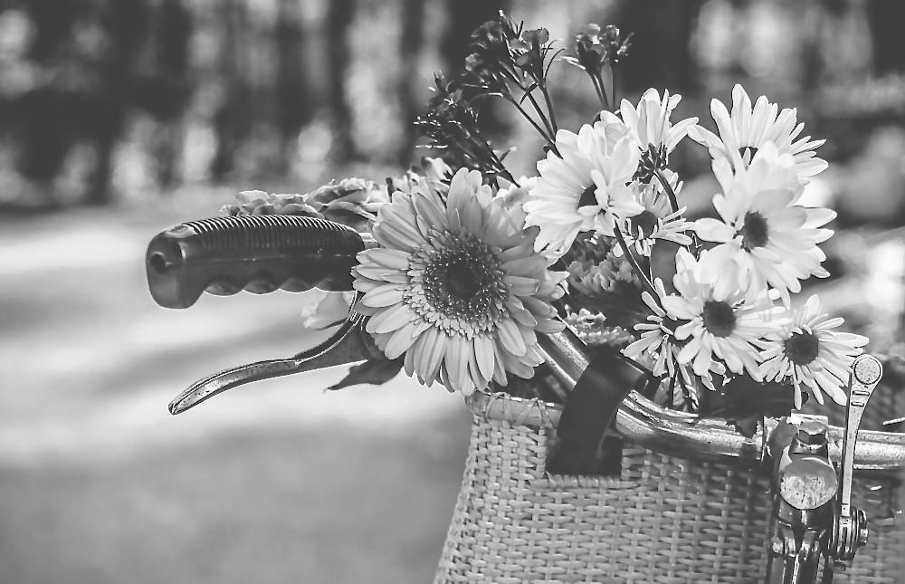 16771325953_1dea2755a4_b