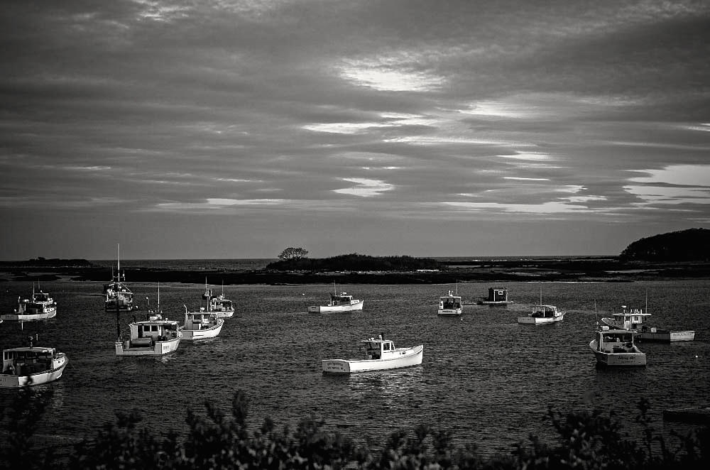 18170258681_6cda04259d_b