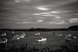 18170258681_6cda04259d_b