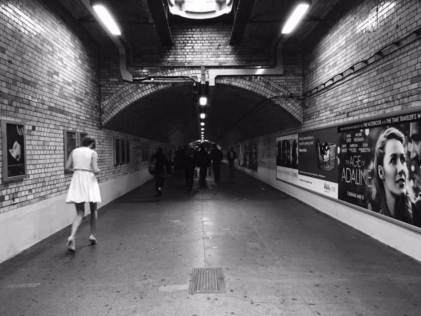 SouthKen©PattiFogarty