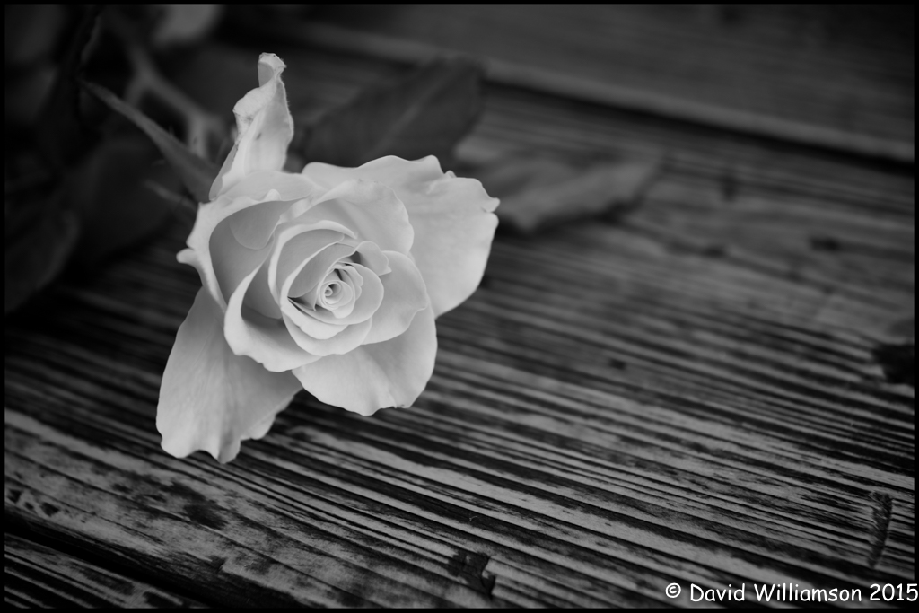 20130512-untitled shoot