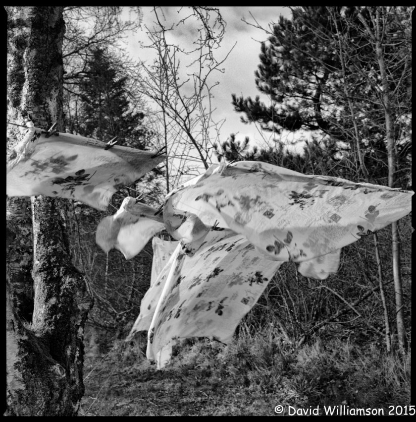 20150404-untitled shoot-Edit-2