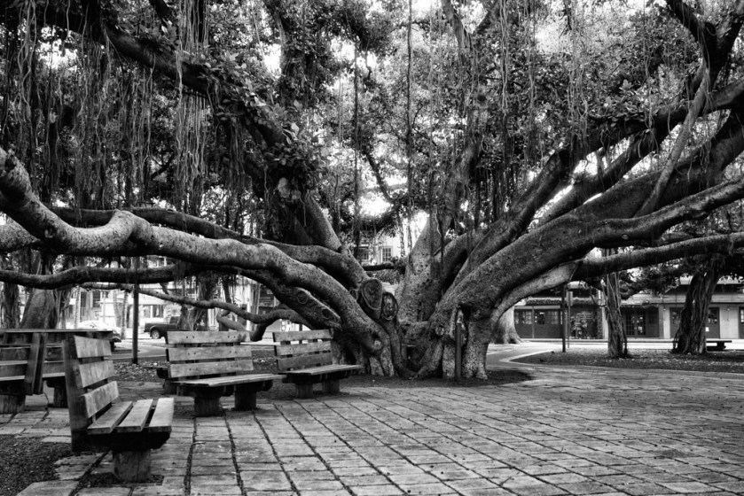 20150622-IMG_5268-Edit