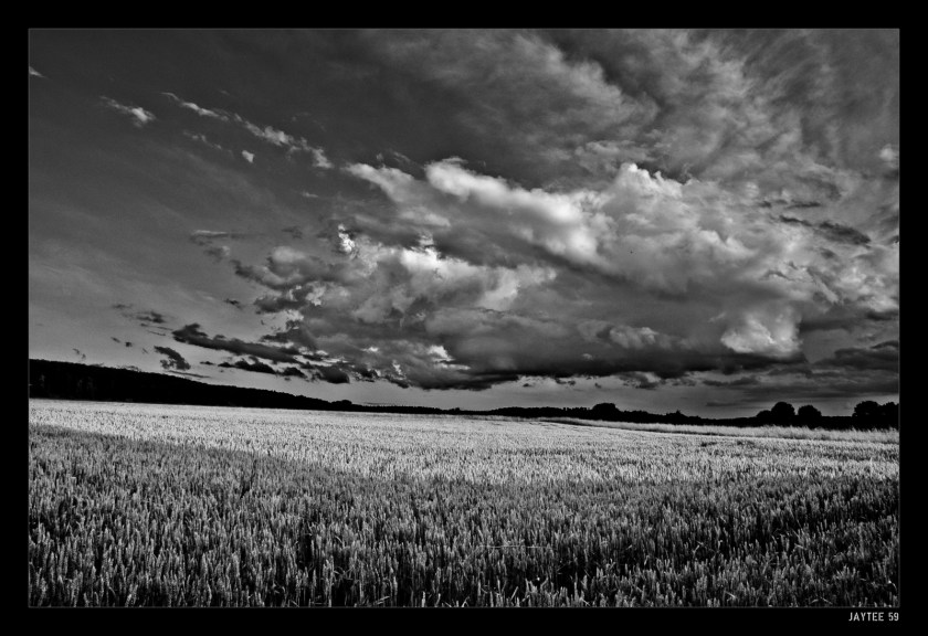 cloud-hachborn_bw_jaytee59_16