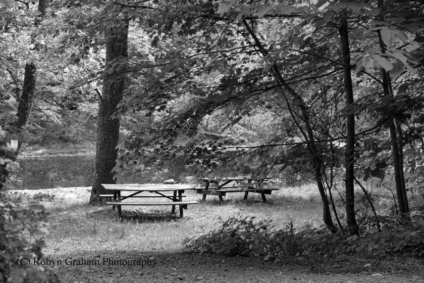 A Beautiful Day for a Picnic