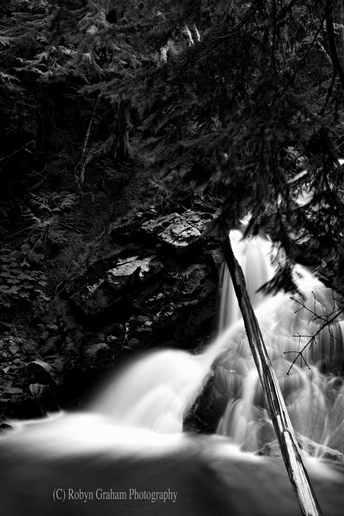 wm RGP_1192_8791 copy