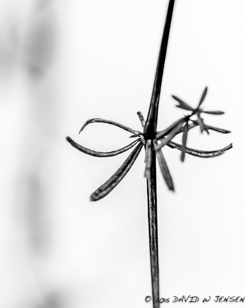 Simple Things