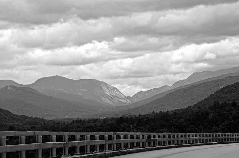 20141630048_4a20598638_b