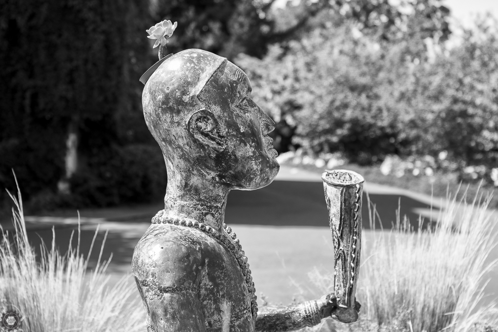 20150816-IMG_8782-Edit