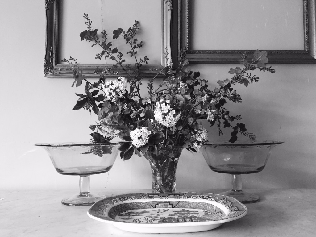 DevonStillLife©PattiFogarty