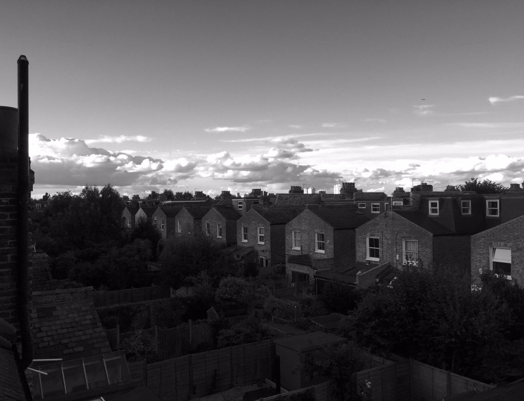LondonRoofTops©PattiFogarty