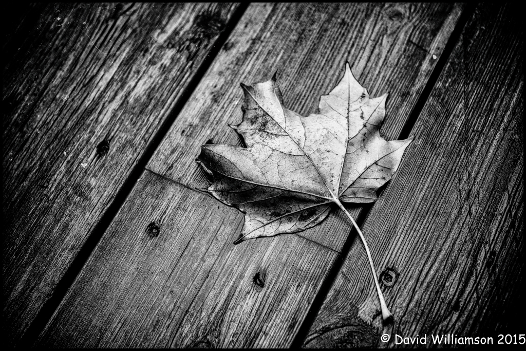 20120923-untitled shoot