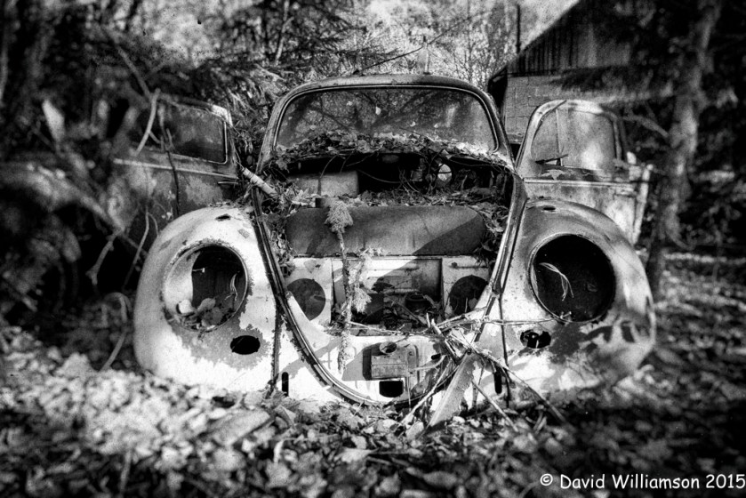 20131012-untitled shoot-2-Edit