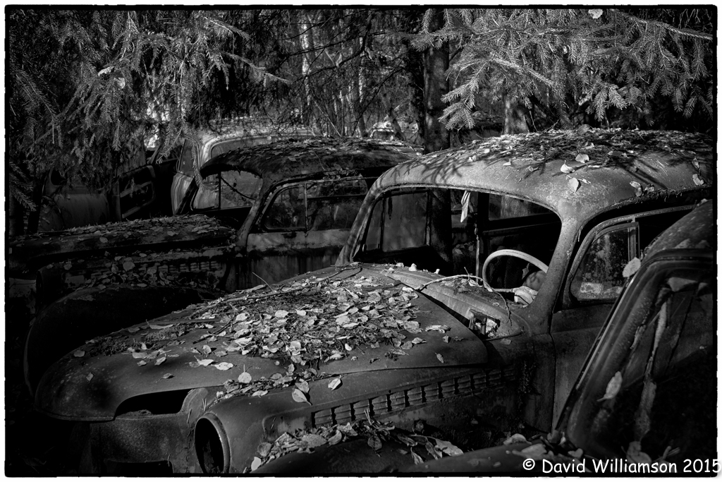 20131012-untitled shoot-Edit