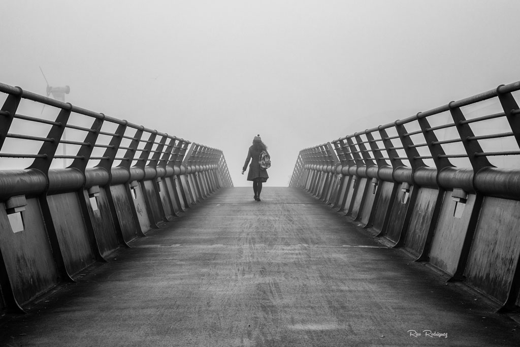 bridge-girl-monochom