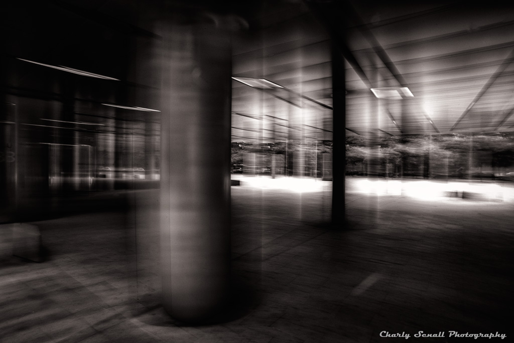 _DSC0431-bin