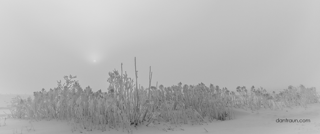 Hoar Frost Sunrise