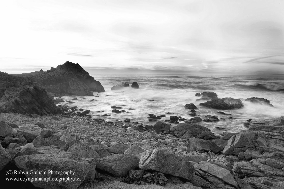 wm e RGP_6024 bw