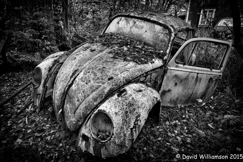 20151031-untitled shoot-19-Edit